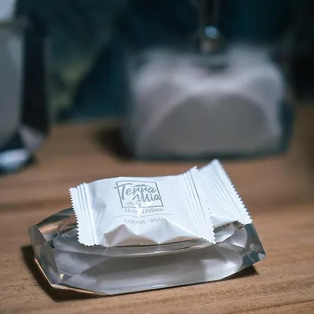 Terra Mia In Piazza 4*